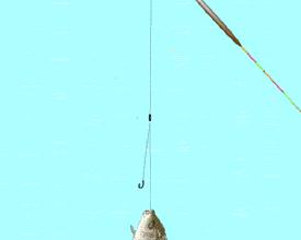 如何判断漂相最准确,上鱼的10种漂相图解