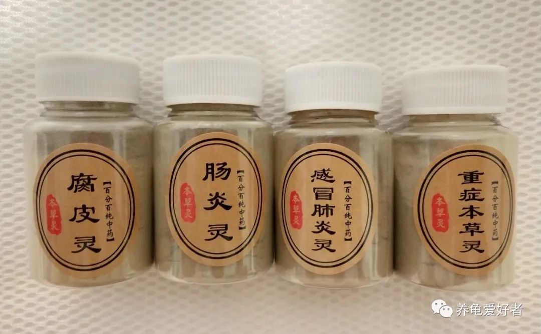 龟病用草药治疗方法,治龟病最佳药物