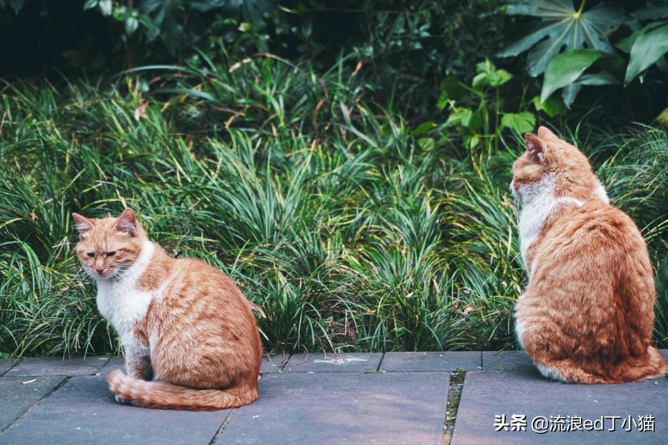 成都最大的欢乐谷,成都欢乐谷晚上门票多少钱