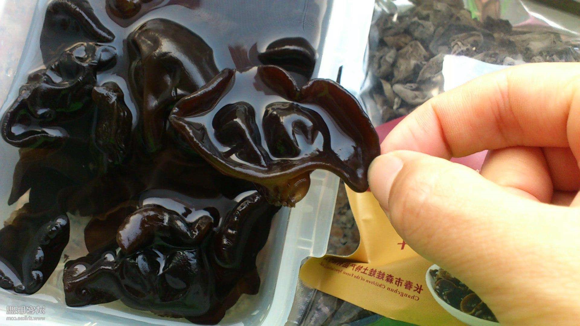 黑木耳养殖气候条件,黑木耳种植管理