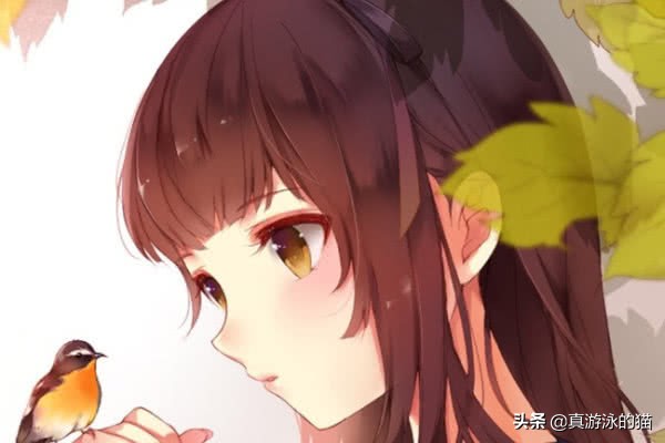 姓王的小说男主角叫什么名字,姓王的言情小说男主角名字