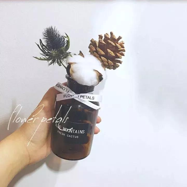 她用这种高颜值的干花装饰家里，隔壁邻居都惊叹不已