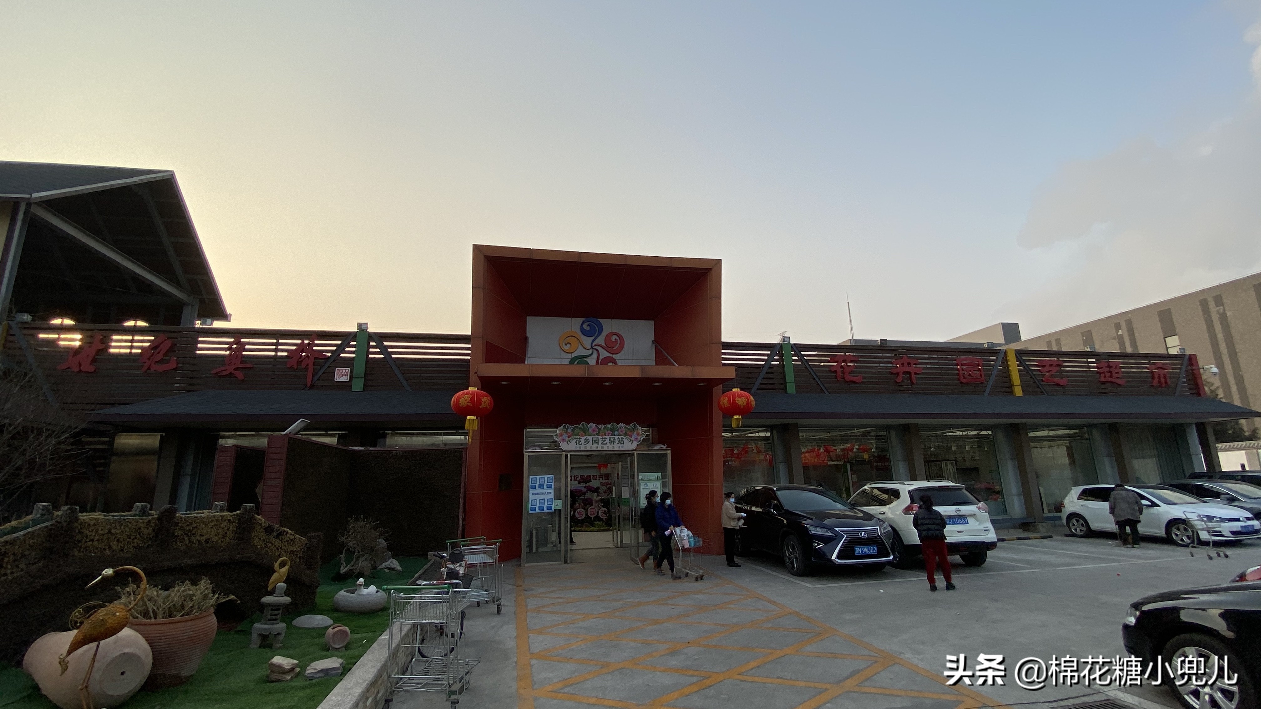 北京开了第一家绿植花卉大超市,北京最大花卉绿植市场