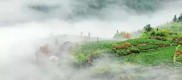 江西这座江边小城，凭什么占了我半本语文课本？