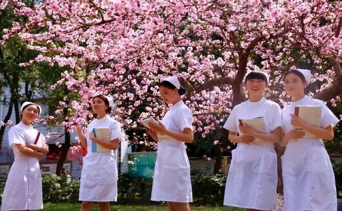 四川省排名前十的高职院校,四川医学专科院校排名前十名公办