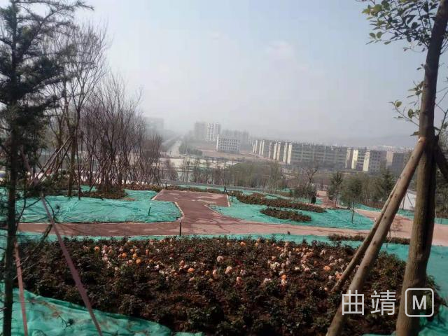 沾益玉林山公园,曲靖沾益玉林山公园