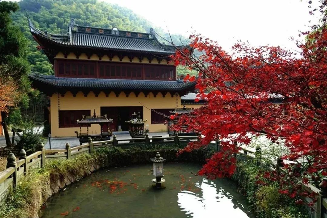 欢呼！余杭9条精品旅游线出炉！瓶窑、塘栖、中泰...太惊艳了！