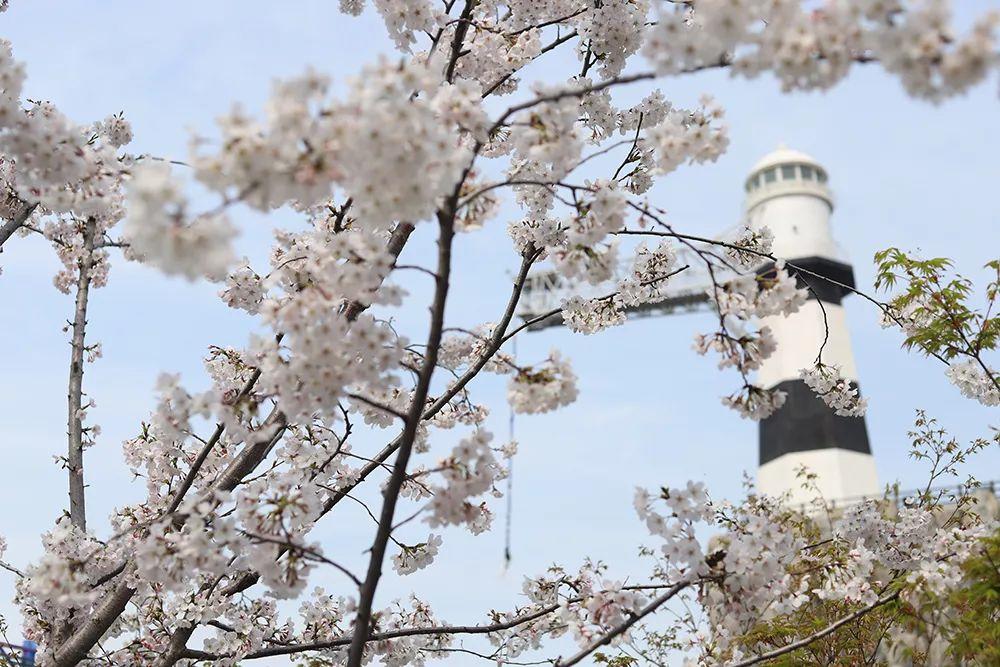 苏州华谊兄弟电影世界自在游,苏州华谊兄弟电影世界五一攻略