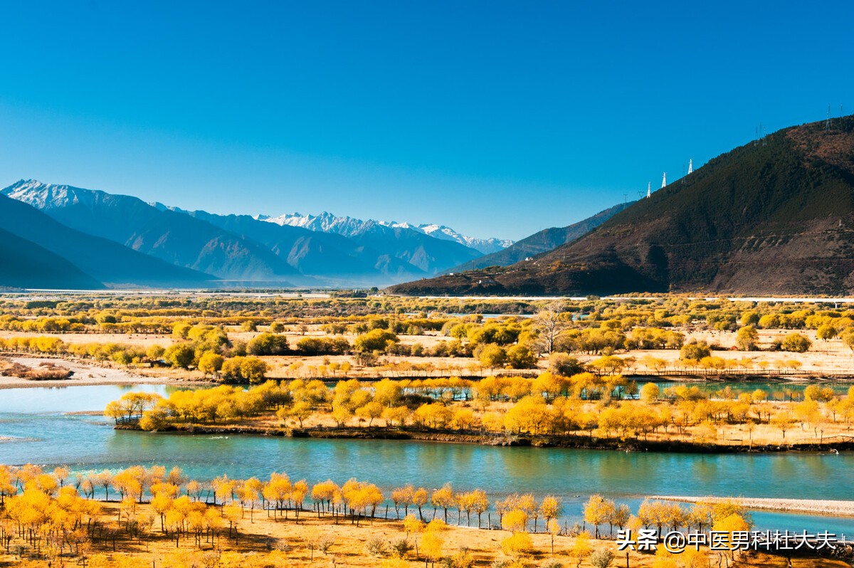 湿热下注是气血虚还肾阳虚引起,脾肾虚为什么会湿热下注