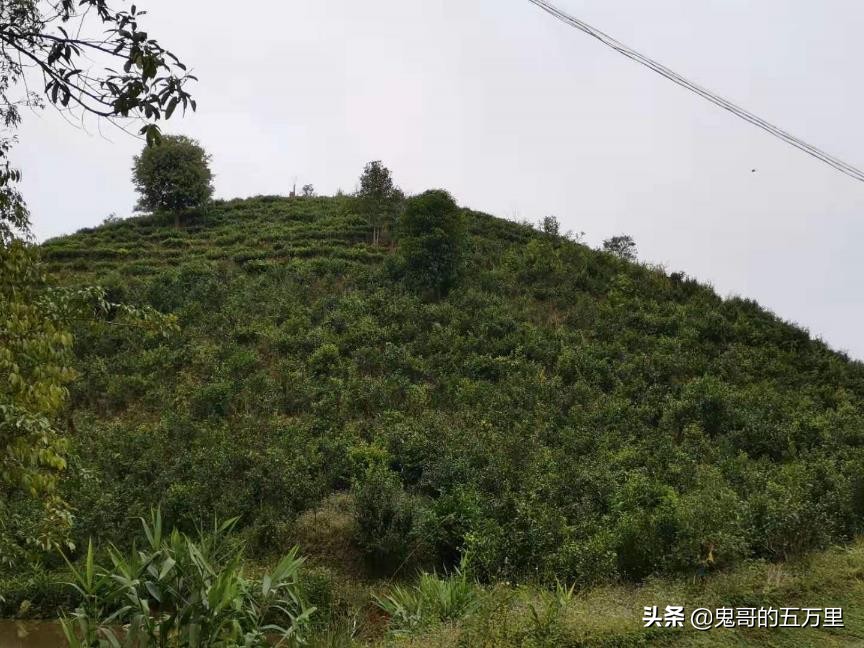 鬼哥的五万里D108骑记：给回族商人点赞（曼腊乡-整董镇）