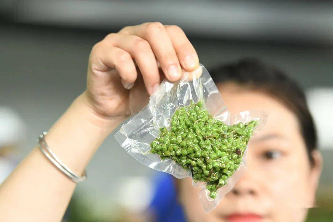 大叔收集废品变废为宝,重庆大叔创业