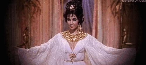 这个国家不会讲自己的母语,疯狂热爱养猫,猫死还要守孝你知道吗