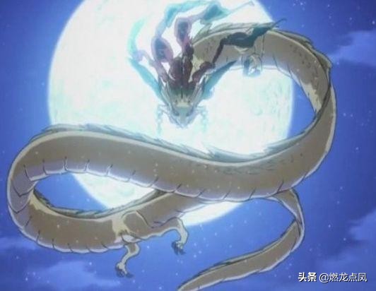 各种动漫中的龙,所有动漫中的龙