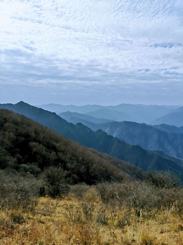 20201101惊悚之行~首阳山大坪梁单日横穿+原返