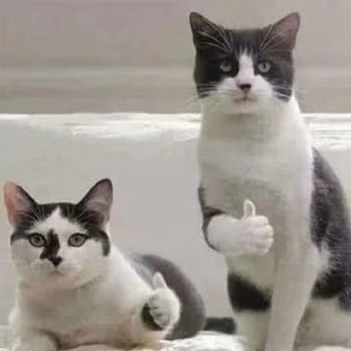 雅萌美容仪2099,雅萌美容仪99和399