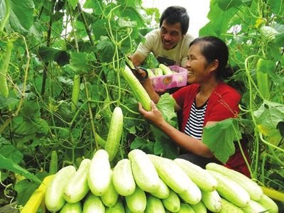 自产自销的蜂蜜属于三无产品吗,蜂蜜出售属于三无产品吗