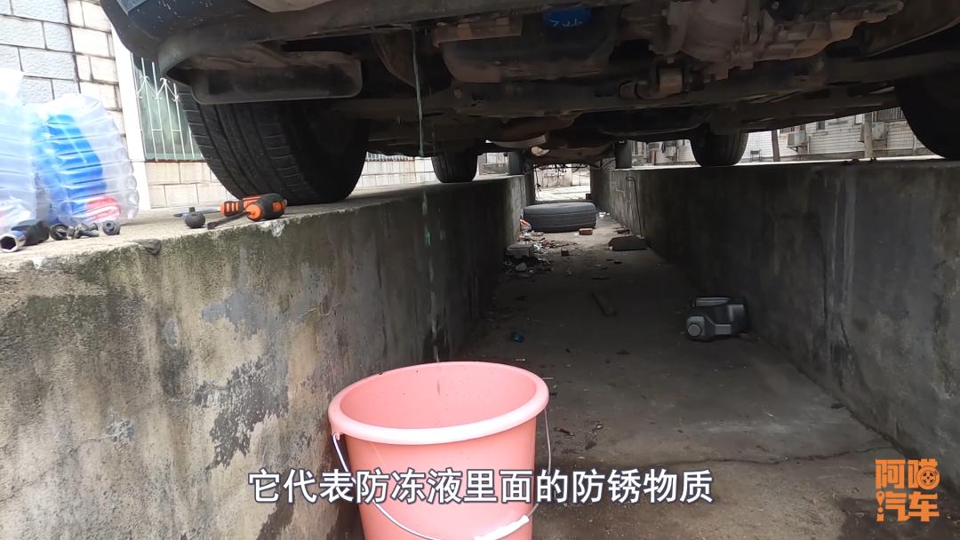 喵哥防冻液多久换一次,喵哥说车防冻液