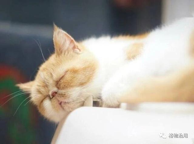 失去声音是怎样一种体验？