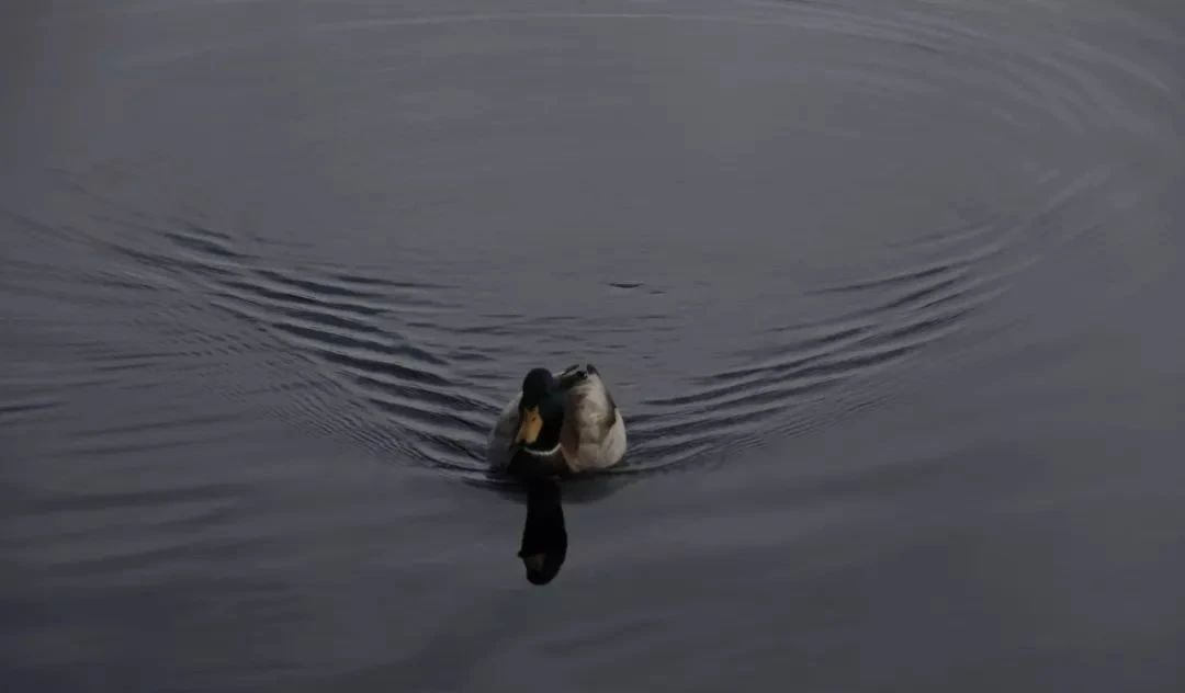 中国县城现状原文,中国县城现状深入调查