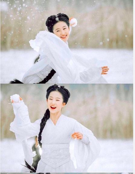 刘诗诗杨幂刘亦菲谁最美,刘亦菲杨幂刘诗诗同台侧脸