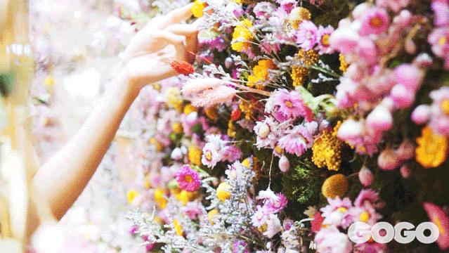 十年匠心，尽显“蜂”芒！法国娇兰绝美蜜境登陆太古汇