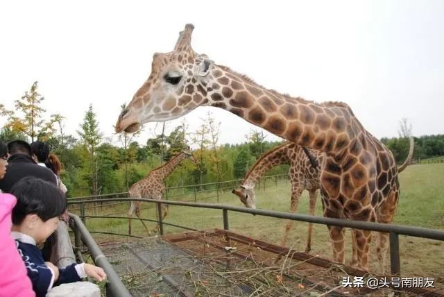 越南旅游的海岛,越南小众海岛