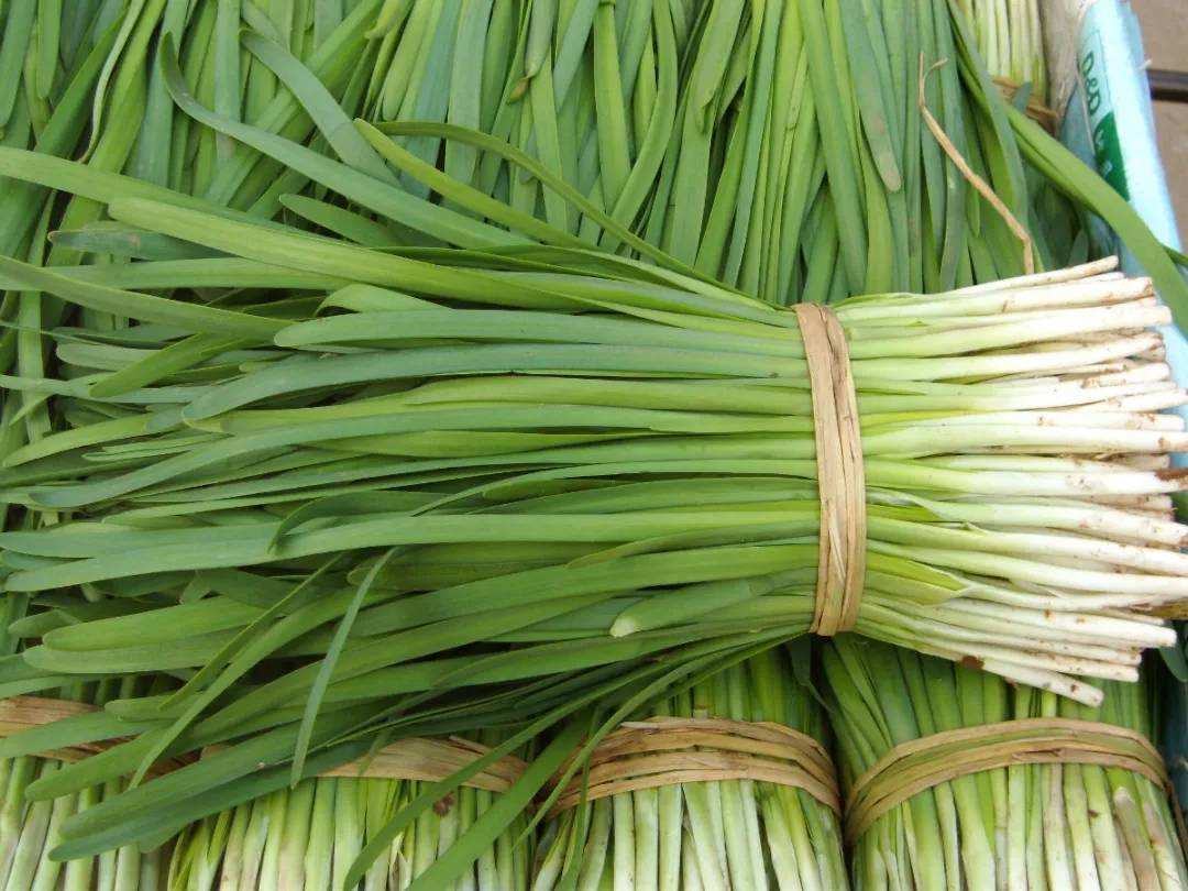 这几种菜再便宜也不要买,韭菜别乱买记住这几点又嫩又新鲜