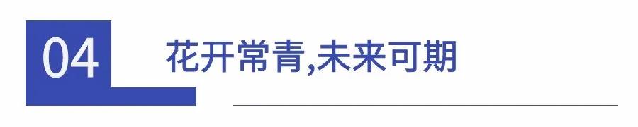 ai编程行业前景,ai编程未来发展趋势