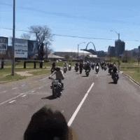 回家的路上看到这么多钱,背包都装不下啊,现在该怎么办