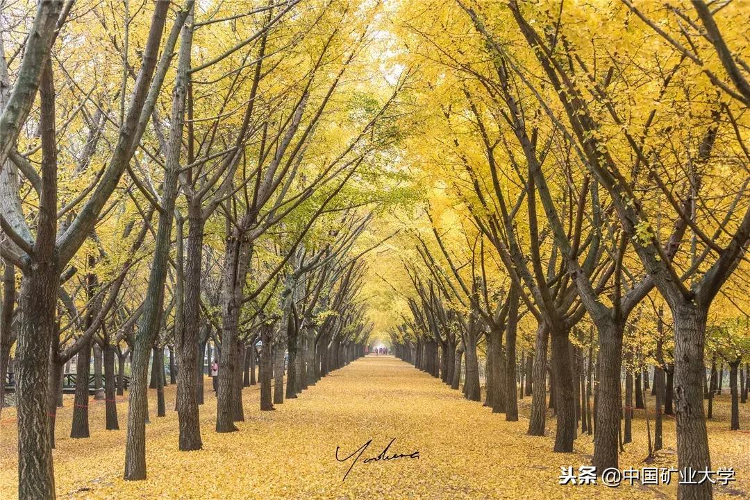 矿大摄影师,签约旅行体验师