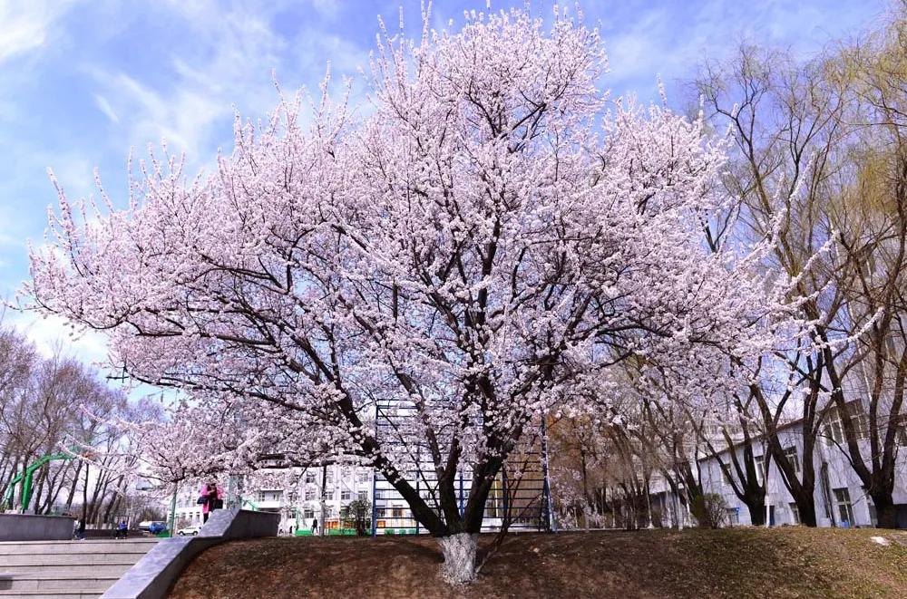 辽宁经济职业技术学院最新消息,辽宁经济职业技术学院国家重点
