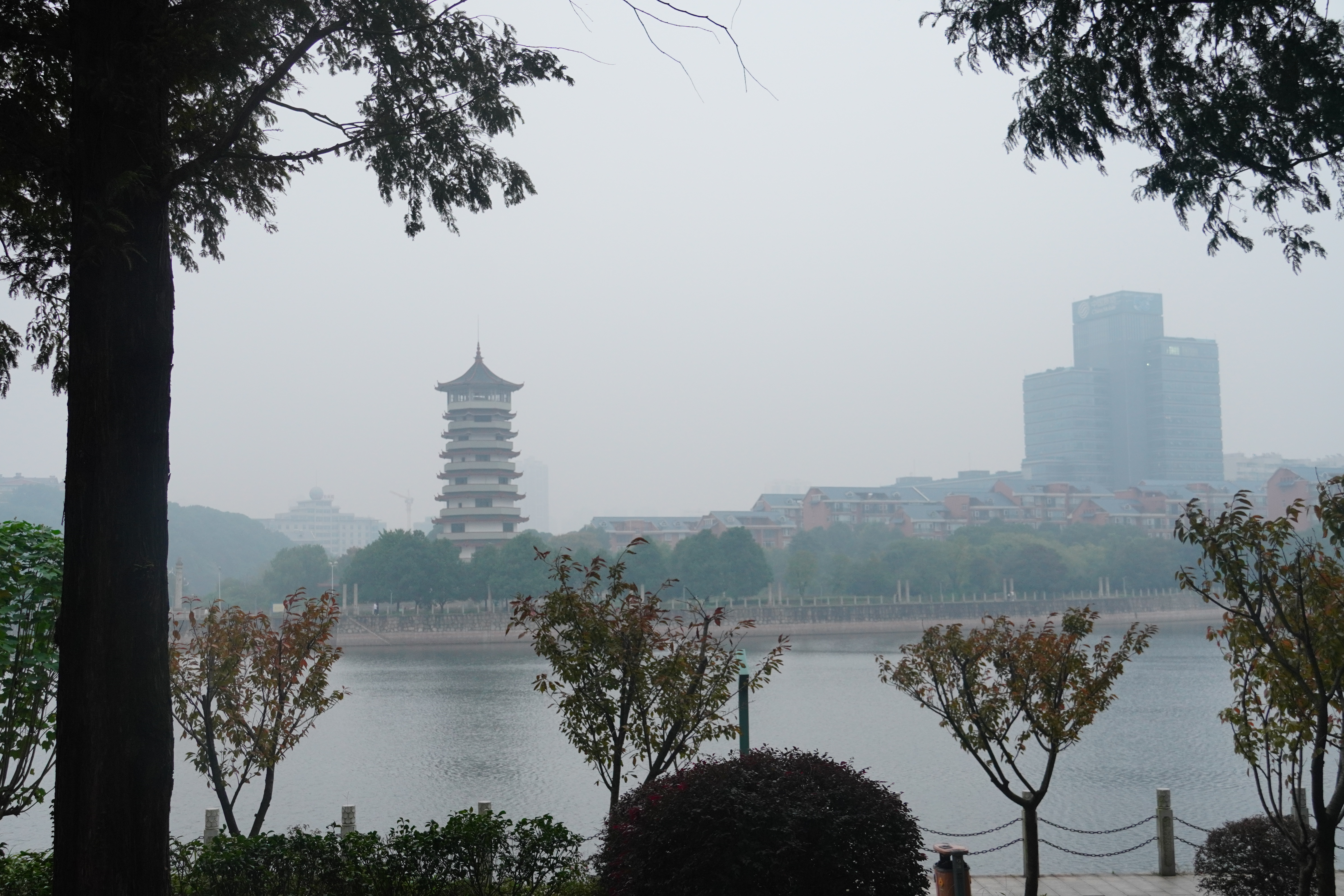 过惯了安逸生活,中年人的生活过得都是一地鸡毛