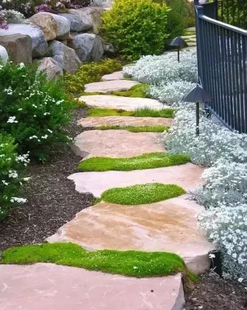 禅意庭院一定要用苔藓吗,禅意苔藓微景观制作视频