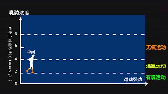 跑步训练肌酸推荐,跑步耐力差喘不上气