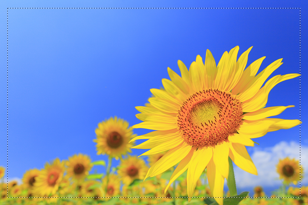 怎么给照片弄上漂亮的边框,怎么给照片加边框更好看