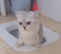 想要拉得顺畅？这个角度你需要完美掌握！