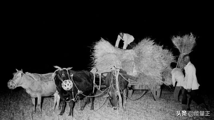 周末活动的骗局,现实生活每天都在上演骗子陷阱