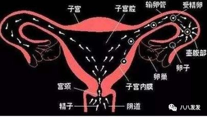 中医治不孕，不是最后的办法