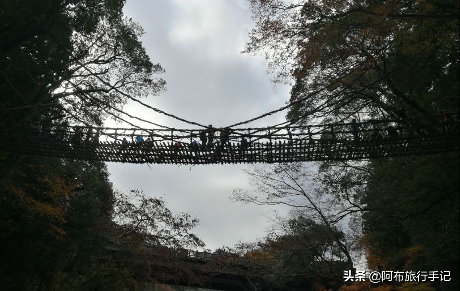 日本四国岛六天游攻略,日本四国旅游计划