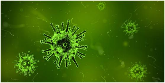 冰箱冷藏食物过久会滋生哪些细菌,冰箱细菌多还是外面常温细菌多