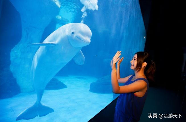 湖北景点应届毕业生免费有哪些,应届毕业生可以免费去哪些景区