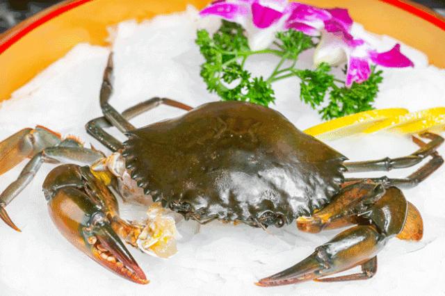 魔都惊现「2层楼小香港」,卖“蹦迪海鲜”!花胶鸡、6头鲍免费送