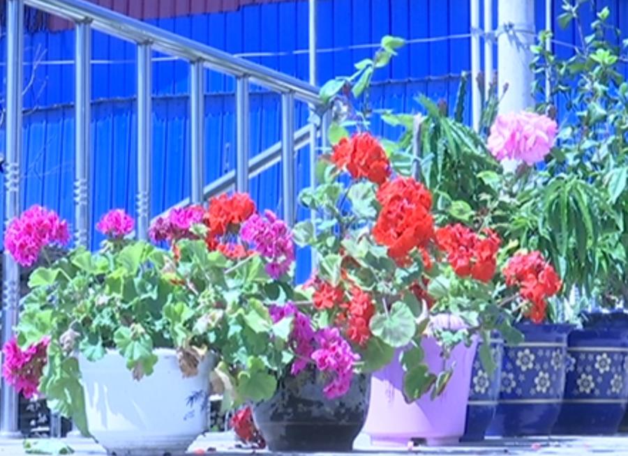 走向我们的小康生活1000字,走向我们的小康生活主题报道