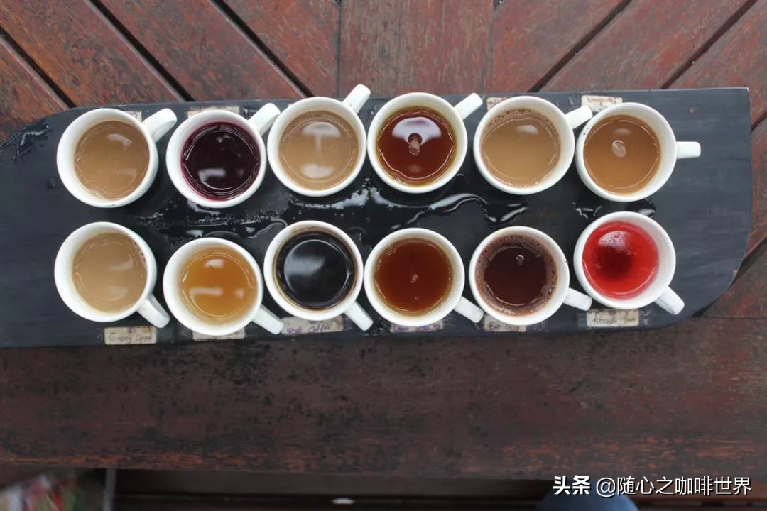 咖啡达人该怎样提升咖啡品鉴能力？