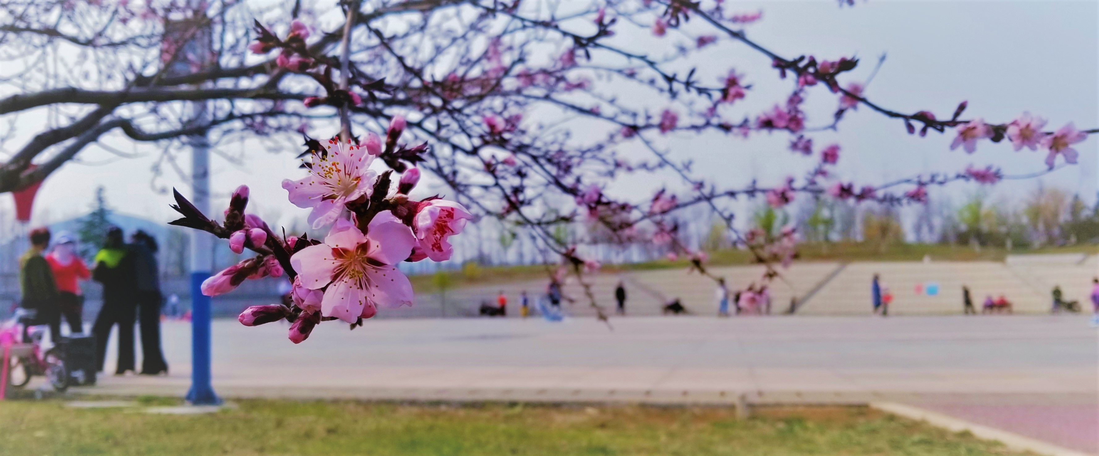 景美人少公园,景美人少适合去哪里旅游