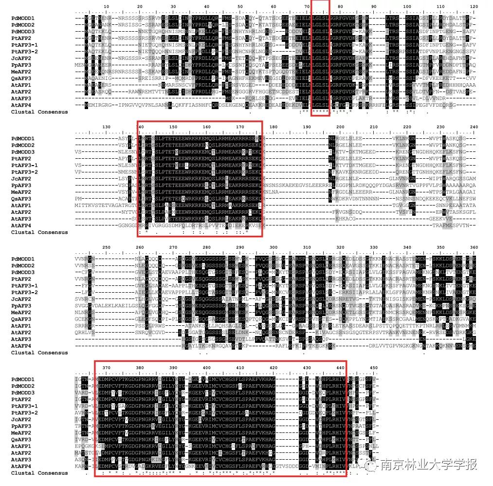论文推荐||欧美杨PdMODD基因克隆与表达特性分析