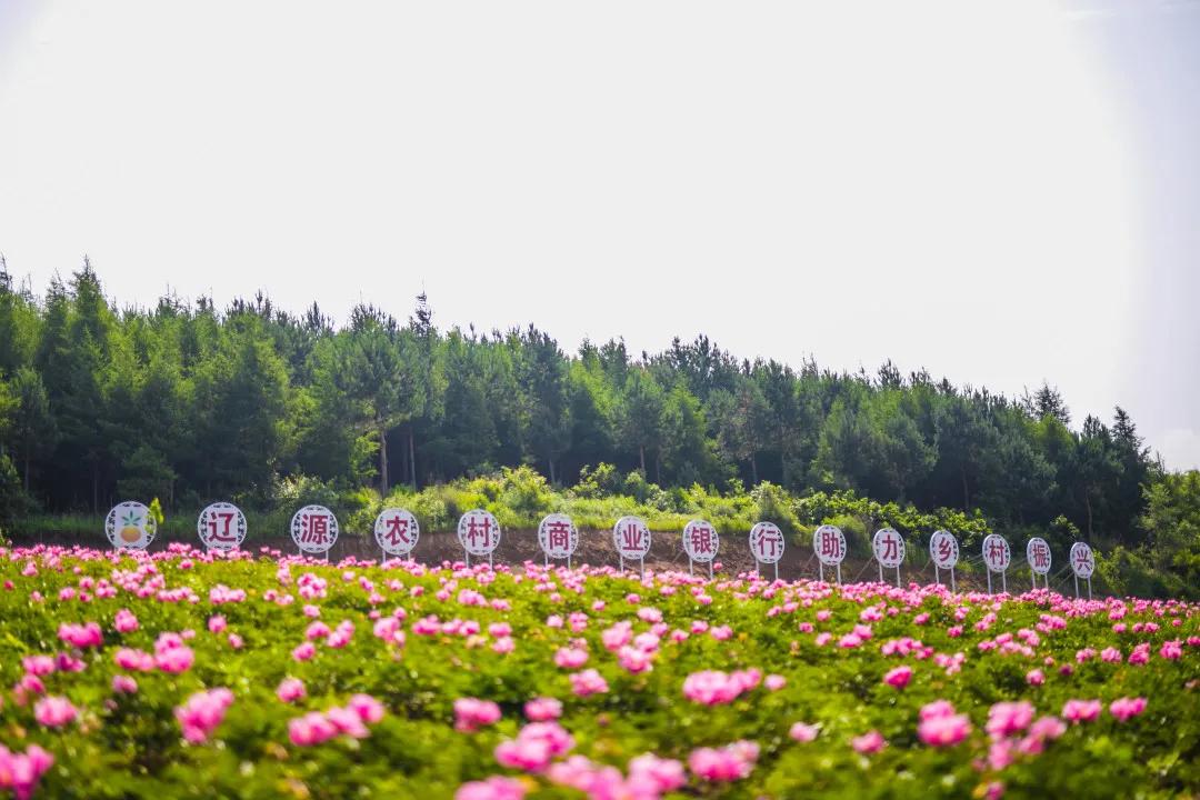 真香预警!300亩花海盛放,烤全羊十里飘香!