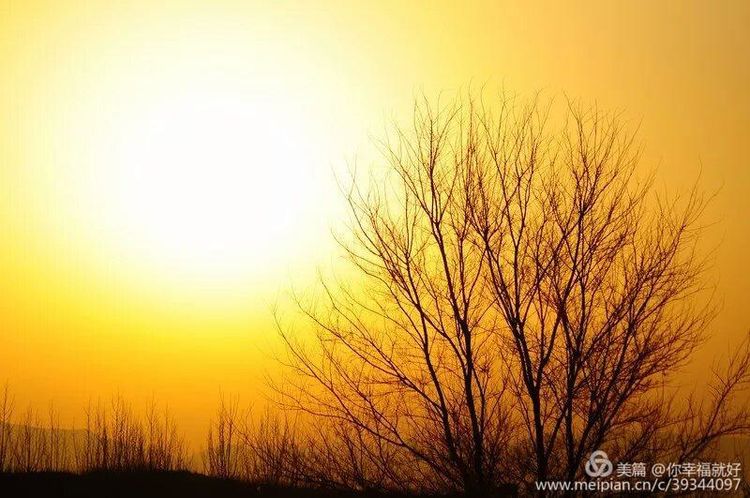 鐗╂崲鏄熺Щ閲夎壊涔嬪厜,鐗╂崲鏄熺Щ鍏ㄩ儴浣滃搧