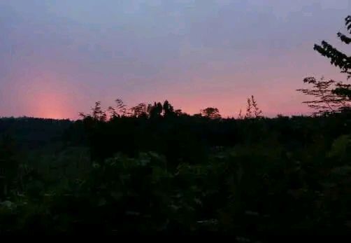 钓鱼为什么容易着迷,钓鱼为何会上瘾