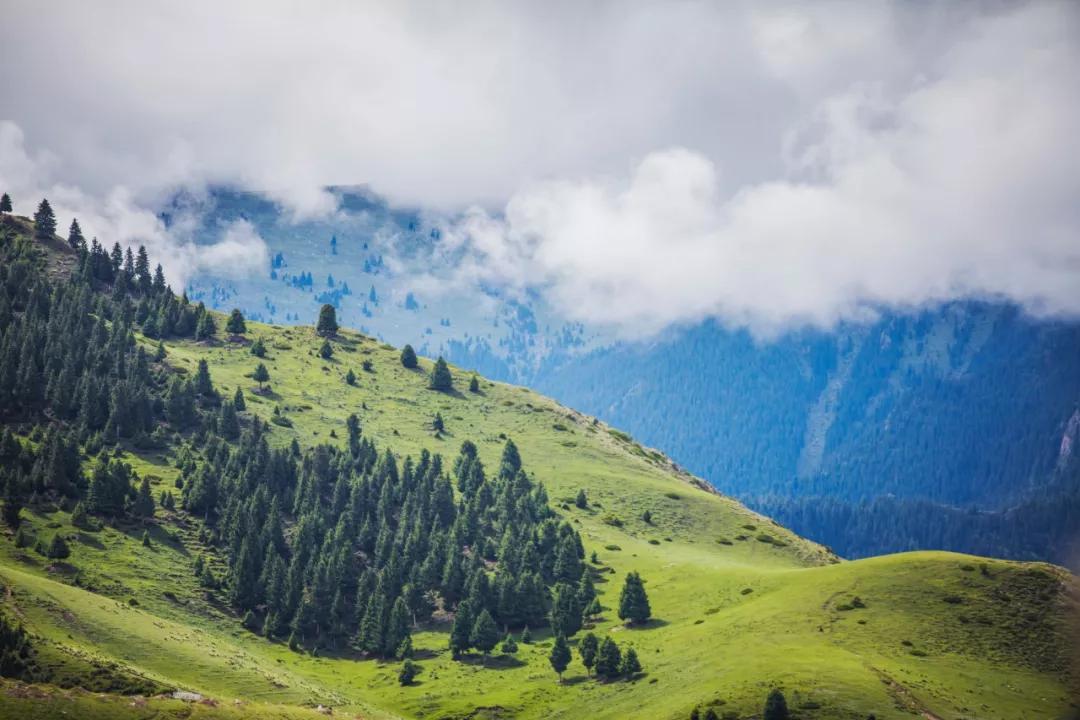 武汉周边自驾一日游小众免费,国内最值得自驾游旅行的地方